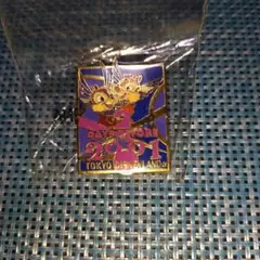 東京ディズニーランド 非売品 カウントダウン ピンバッジ チップ&デール