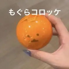 ナガノキャラクターズ もっちるフェイスマスコット もぐらコロッケ