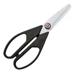 Item thumbnail for item 438ae400-ef15-4339-be8f-9cdebe4969da