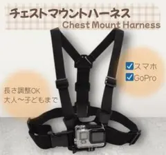 Item thumbnail for item 91004be2-d407-4e6f-bec0-cee8f7317f8a