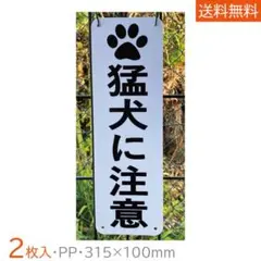 Item thumbnail for item 883765be-a254-43ca-81e5-8ed242be4c7d