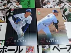 293 294/BBM 2024 1st 埼玉西武 2枚セット