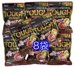 カバヤ　タフグミ 梅マニア100g×8袋