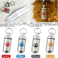 Item thumbnail for item 7195e2db-1acc-478b-86f1-f09d79bf18c4