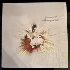 Calm Presents K.F. – Shining Of Life