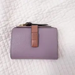 Item thumbnail for item 4e673785-35dd-4444-97e2-860b8eca1ca8