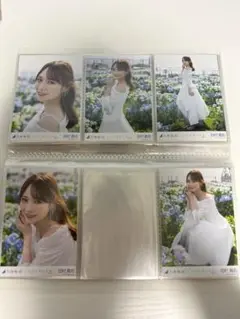 Item thumbnail for item 98729172-7646-482e-85ae-65b847f5fd76