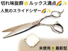 切れ味抜群スライドシザー✨美容師プロ用サロン仕様✨ルックス満点気持ち良く切れます