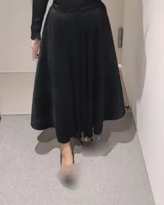 プリーツプリーズラスター