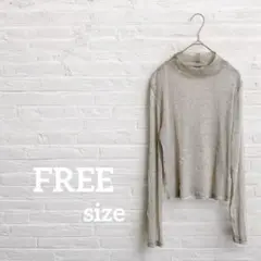 即日発送‼︎【FREE】シルバーメタリックシースルータートルネック 長袖シャツ