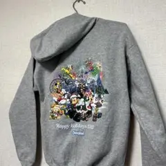 ★日本未発売★ Disney land ディズニーランド　2013 パーカー