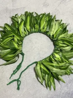 葉ベルト