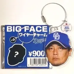 中日ドラゴンズ 20 涌井秀章 BIG FACE ワイヤーチャーム