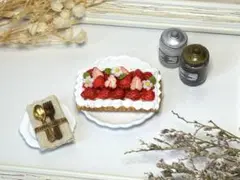 HANAさま専用