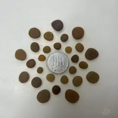 シーグラス ブラウン丸っこい　美品