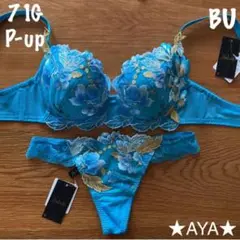 サルート 71 BU P-upブラu0026ソング
