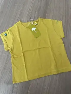 Item thumbnail for item 56c09d76-2615-4181-b597-86a2002220fe