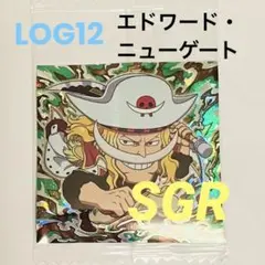 バンダイ ワンピース 大海賊 シールウエハース エドワード・ニューゲート