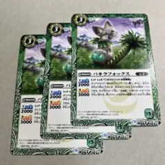 パキラフォックス 3枚