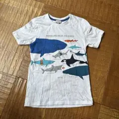 ポールスミス 半袖シャツ 8A