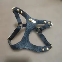 Item thumbnail for item 1bd6d89a-3cef-4e87-8817-df4bf9dc605f