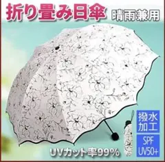 Item thumbnail for item 6f17a847-3143-48e7-9590-2d5ac8839b31