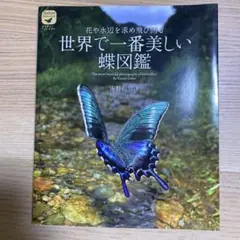 世界で一番美しい蝶図鑑