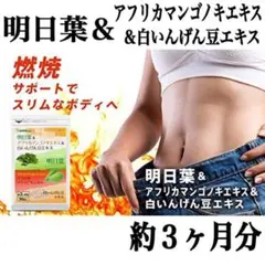 【明日葉&アフリカマンゴノキエキス&白いんげん豆エキス】約3ヶ月分