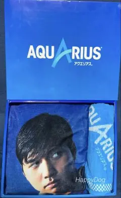 大谷翔平選手　アクエリアスキャンペーン当選品　BIG&スポーツタオルセット
