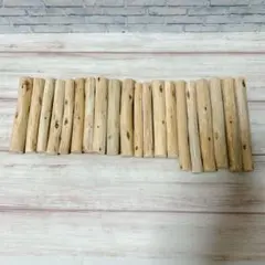 Item thumbnail for item d356c7bf-b48d-4f55-a123-91bd60d432f3