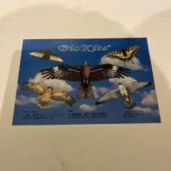 Item thumbnail for item 841e5cd4-0eed-4bc6-9ccd-a883a145ff8f