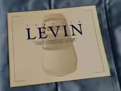 トヨタTOYOTAカローラレビンLEVIN95年5月