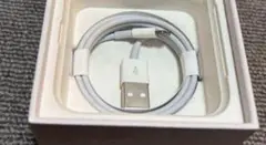 Apple 純正ライトニングケーブル