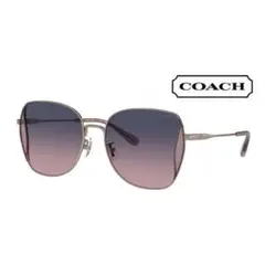 Item thumbnail for item 85444373-7a62-4019-950d-aca67c90ab7c
