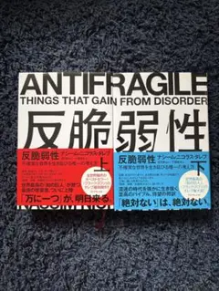 反脆弱性上下セット