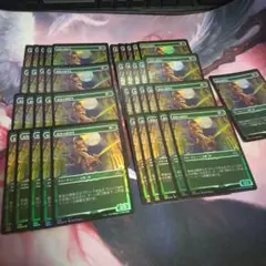 MTG 樹海の練習生　foil　ショーケース