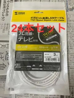 【新品・24本セット】LANケーブル 3m サンワサプライ LA-Y6-03W