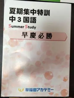 夏期集中特訓 中3国語 Summer Study