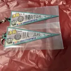 第107回全国高校野球選手権大会　決勝戦　沖縄尚学&日大三　ペナントキーホルダー