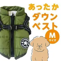 Item thumbnail for item 7c33c2a0-c9c0-44f2-a988-0054a6f435ba
