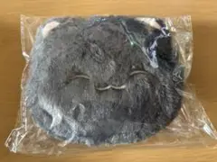 Item thumbnail for item b3dab866-23d7-4c77-bd27-f0ac5d0dd435