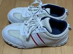 Item thumbnail for item 55b58684-364d-46a7-ada3-a3b768109aba