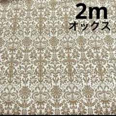 【特価】在庫SALE★ラスト4枚★オックス★ダマスク★ブラウン★