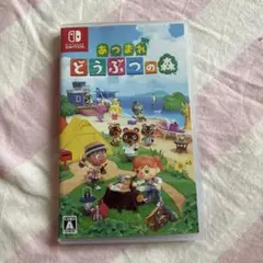 あつまれ どうぶつの森 Nintendo Switch ケースのみ