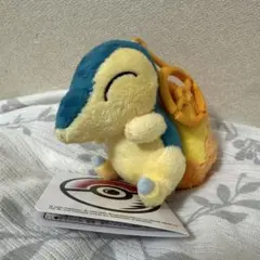 ヒノアラシ　カラビナ付きマスコット　ポケモンセンター