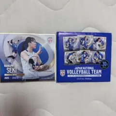 女子バレーボール　関菜々巳　ミニ色紙　直筆サイン入り 女子バレーボール 関菜々巳 ミニ色紙 直筆サイン入り - メルカリ