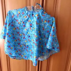 Item thumbnail for item 6a4f9bac-c457-488e-855c-2c0d300d7c27