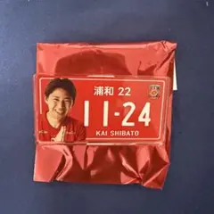浦和レッズ 柴戸海選手 ナンバープレート 22
