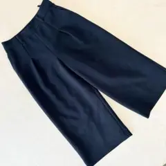 ジョルジュレッシュ ワイドパンツ クロップド ストレッチ ネイビー ボトムス S