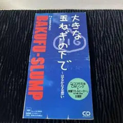 爆風スランプ 大きな玉ねぎの下で(8cm CD)